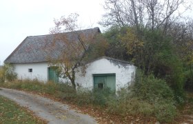 An old, white building with a green gate and roof in a rural setting, surrounded by trees and autumn leaves on the ground.