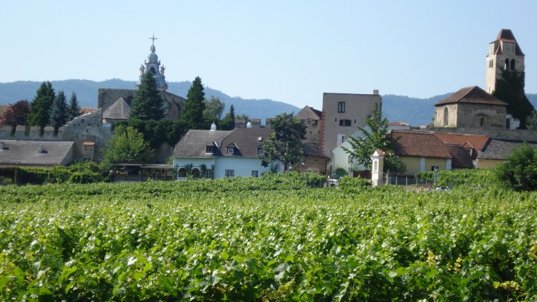 Vineyards against a picturesque village backdrop with a church and old buildings.