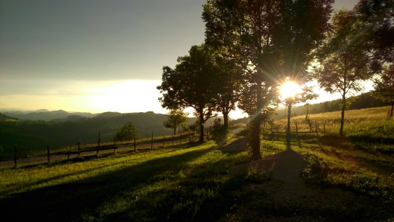 Evening sun, © Familie Winter