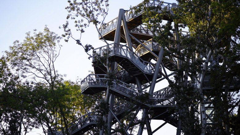 Metal construction of a treetop path in the middle of trees.