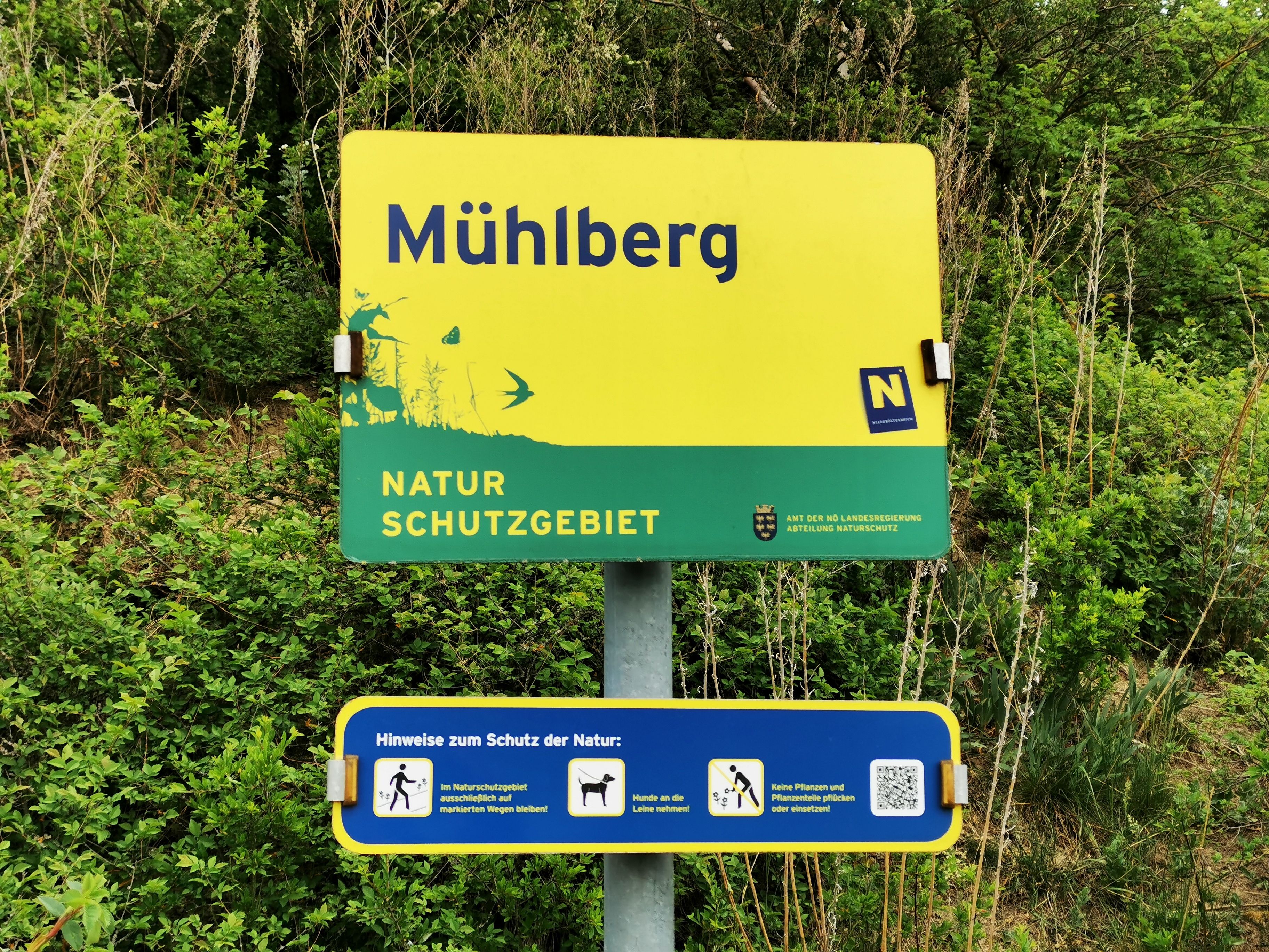 Sign for the Mühlberg nature reserve with information on nature conservation.