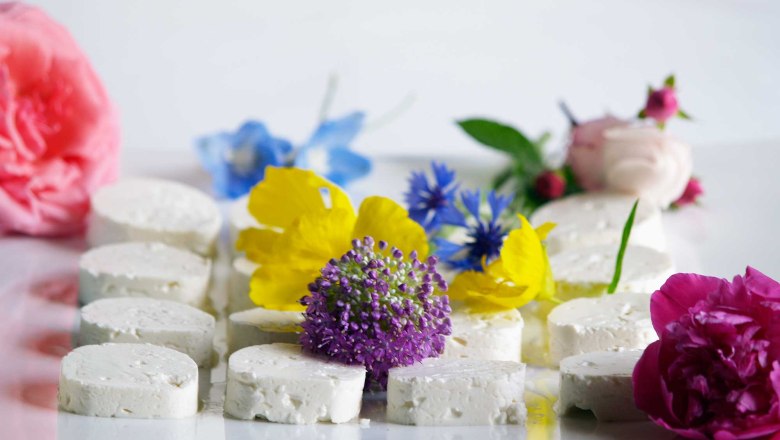 Diendorf farm cheese dairy, © Manuel Zauner