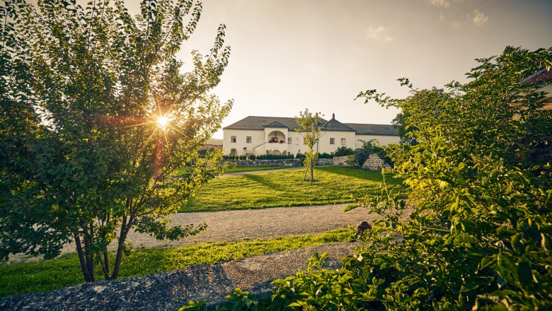 Freigut Thallern, Gumpoldskirchen, © Niederösterreich-Werbung/Andreas Hofer