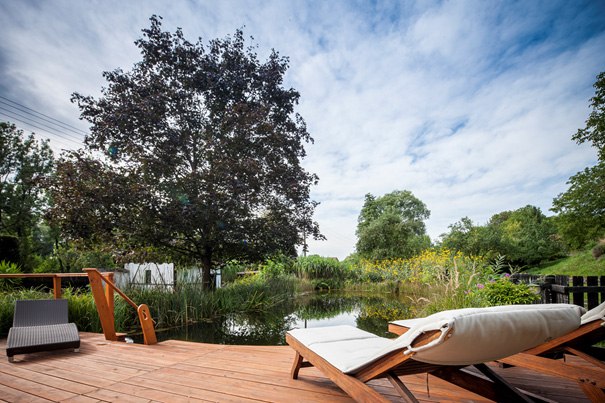 Wooden terrace with sun loungers by the swimming biotope, surrounded by trees and plants.