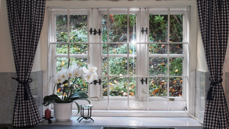 Window with checkered curtains and an orchid on the windowsill.