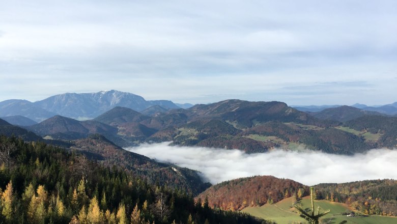 View of a mountain landscape with mist in the valleys and wooded hills in the foreground.