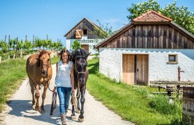 A woman leads two horses along a rural path, surrounded by green meadows and traditional buildings.