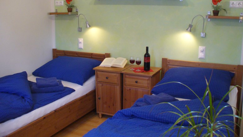 Double room with blue bed linen, bedside table with wine bottle and glasses, bookshelves and plants.