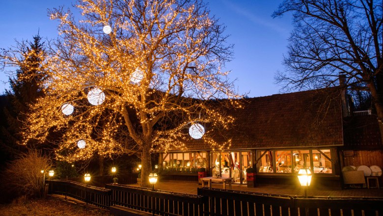 An illuminated tree in front of a building at dusk.