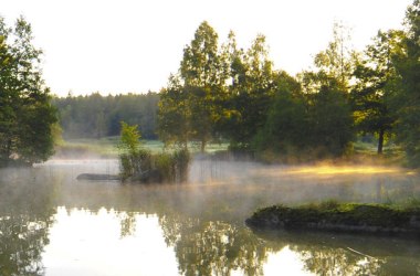 Blockheide-Eibenstein Nature Park, © Naturparke Niederösterreich/Robert Herbst