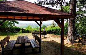 Wooden pavilion with table and benches, view of vineyards, bicycle on a tree.