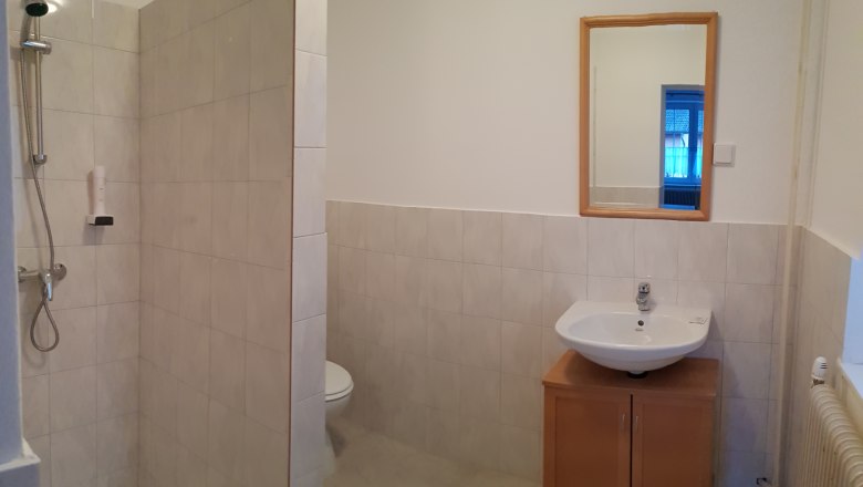 Bathroom with shower, washbasin and mirror.