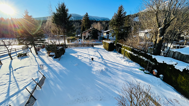 Snow-covered garden with trees and houses in the background in the sunshine.