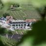 Boutique hotel surrounded by vineyards.