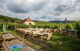 Höllmüller winery garden with wine tavern, © Familie Höllmüller