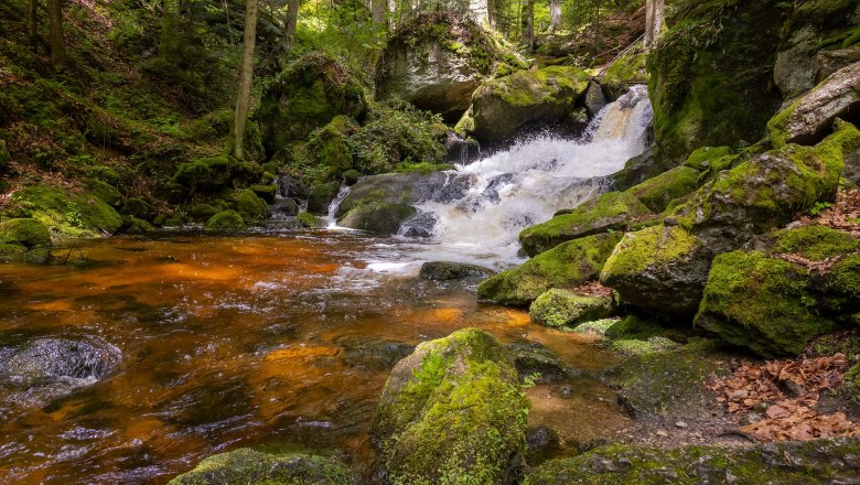 Clear water of the Ysper flows over stones in the shady section of the Ysper Gorge