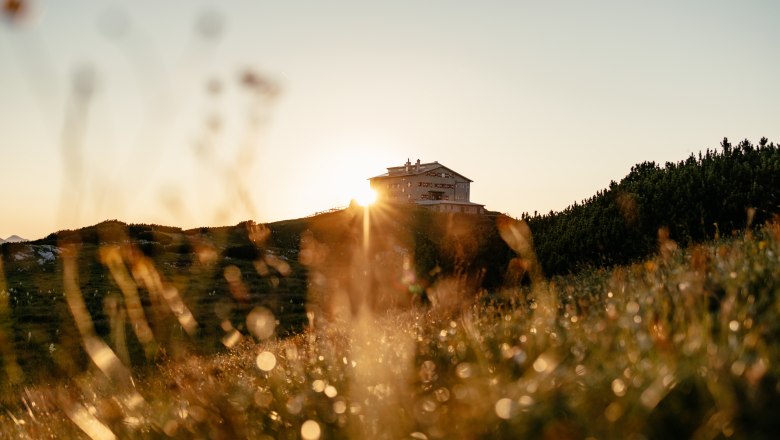 Recharge your batteries at the Habsburghaus (stage 11)., © Niederösterreich Werbung/Franziska Consolati