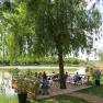 People sit on a terrace by a pond under a tree.