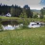 Bathing pond & house view, &copy; Chalet-Nordwald, Fotograf Angela Hauler
