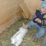 Even the rabbits are curious about the youngest visitors, © Carina Korntheuer