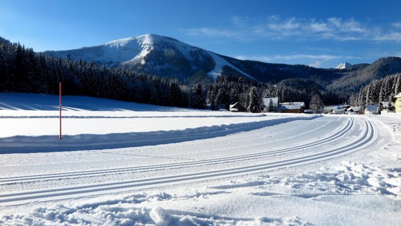 Perfectly groomed trails, © Gerhard Pechhacker