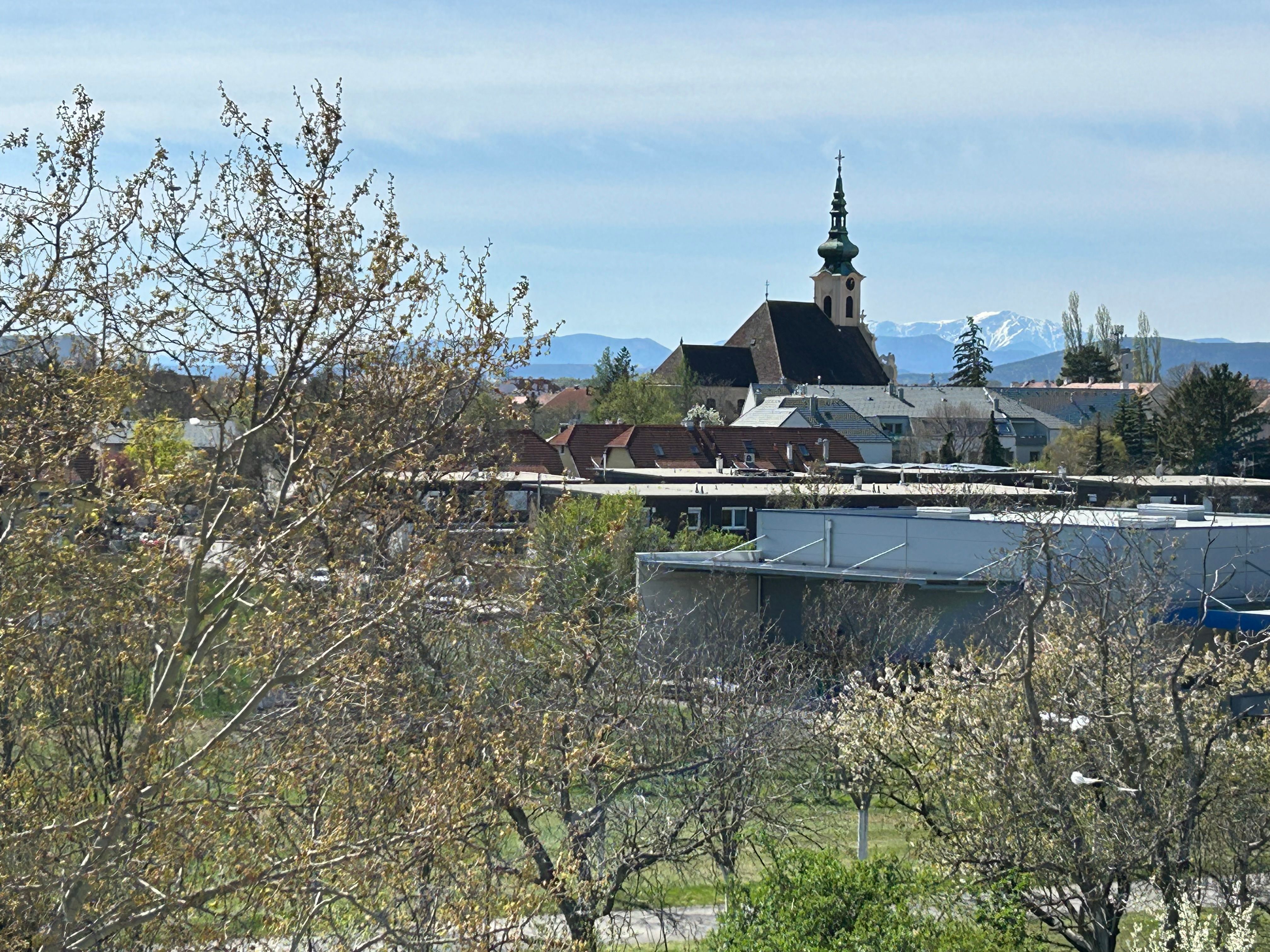 View of Schneeberg or garden