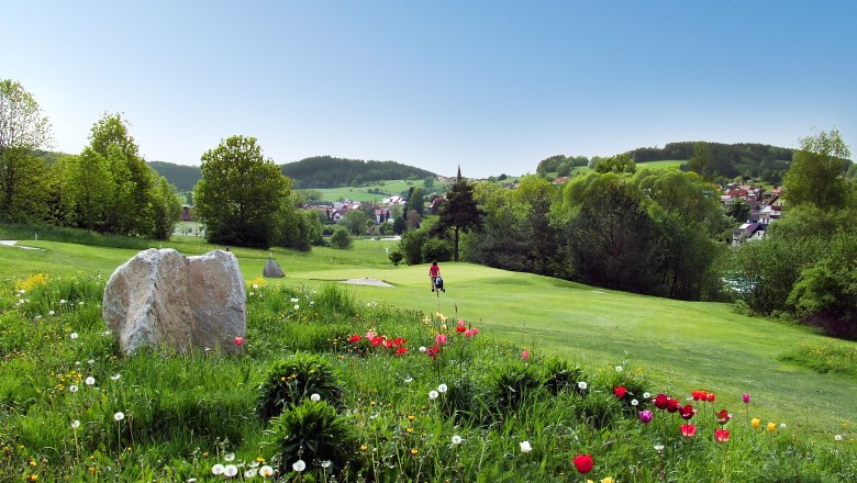 Landscape with flower meadow, trees and a village in the background.