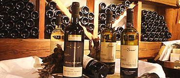 Wine bottles on a table in a wine cellar.