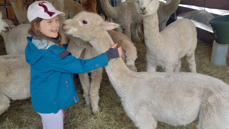Alpkahof Klosterneuburg, © Alpakahof Klosterneuburg