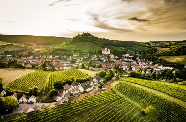 Falkenstein, Wine Experience Weinviertel, © Niederösterreich Werbung/Robert Herbst