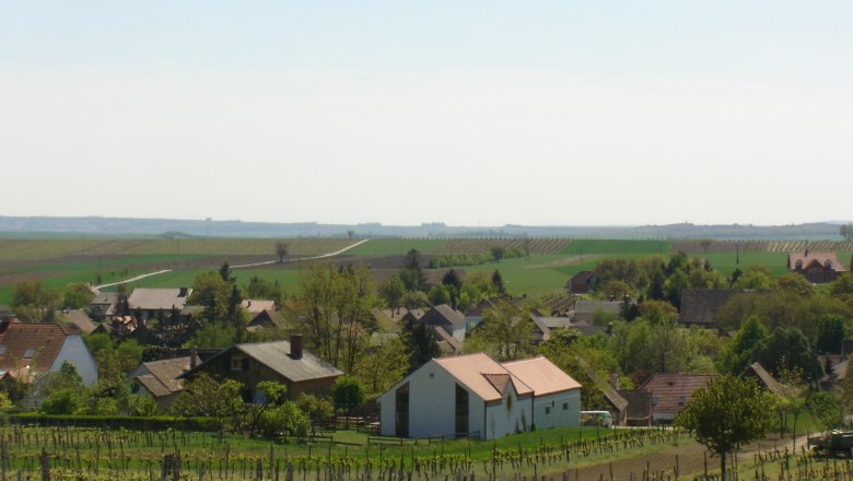 Landscape with vineyards and village in the background.