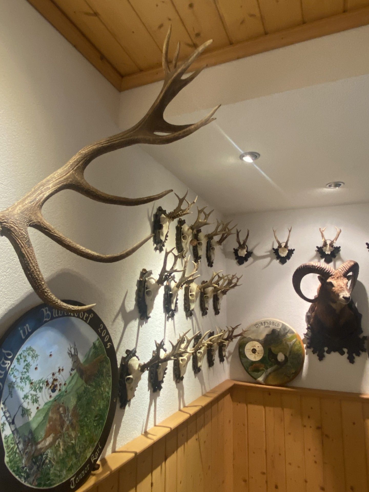 Zatl Inn 
