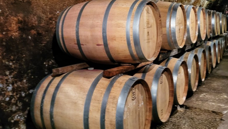 Wine cellar with wooden barrels