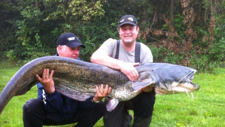 Two men are holding a large catfish in a meadow.