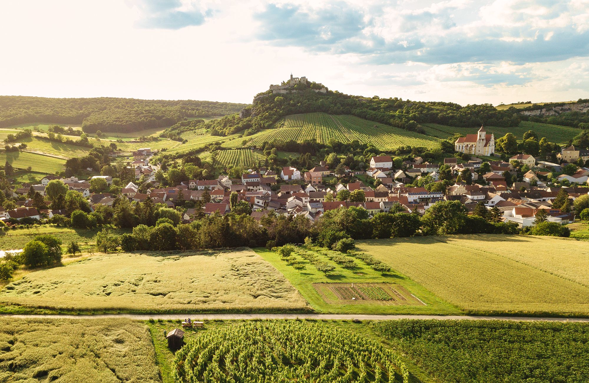 Aerial view of a village with vineyards and a castle on a hill in the background.