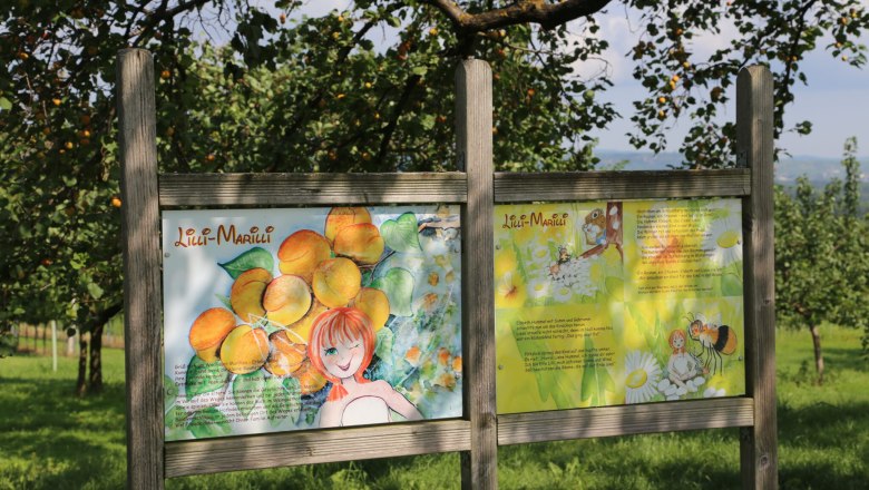 Signage in the apricot garden with illustrations of Lilli-Marilli and apricot fruits.