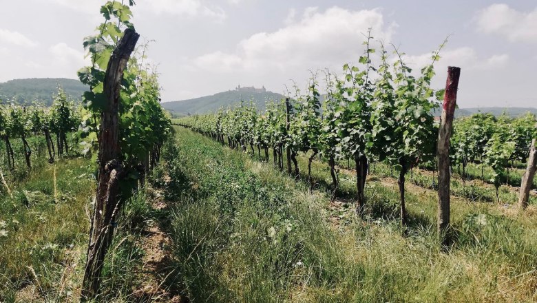 Vineyard before G&ouml;ttweig, &copy; Weingut M&uuml;ller-Grossmann