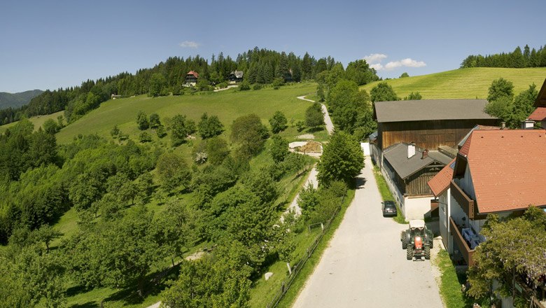 Enjoy the landscape around the Althammerhof, © Althammerhof, Julius Schneidhofer