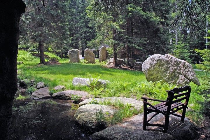 Garden with pond