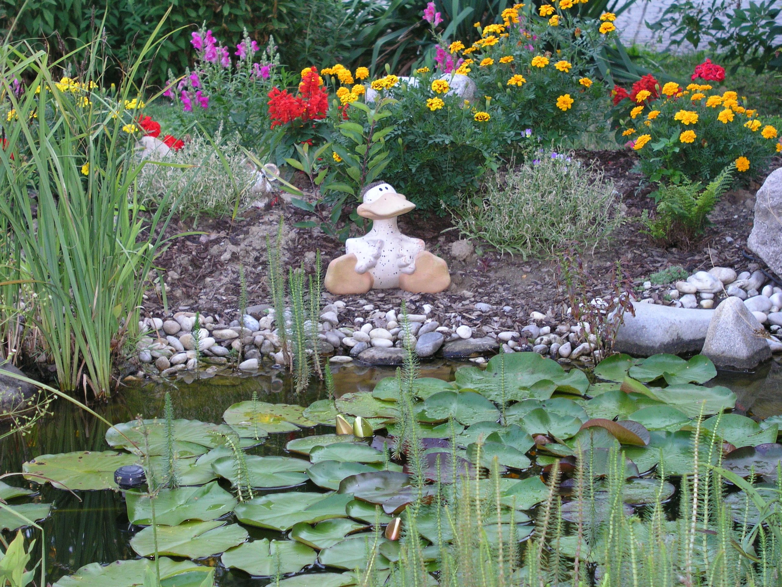 A garden pond with water lilies, colorful flowers and a frog figure on the shore.