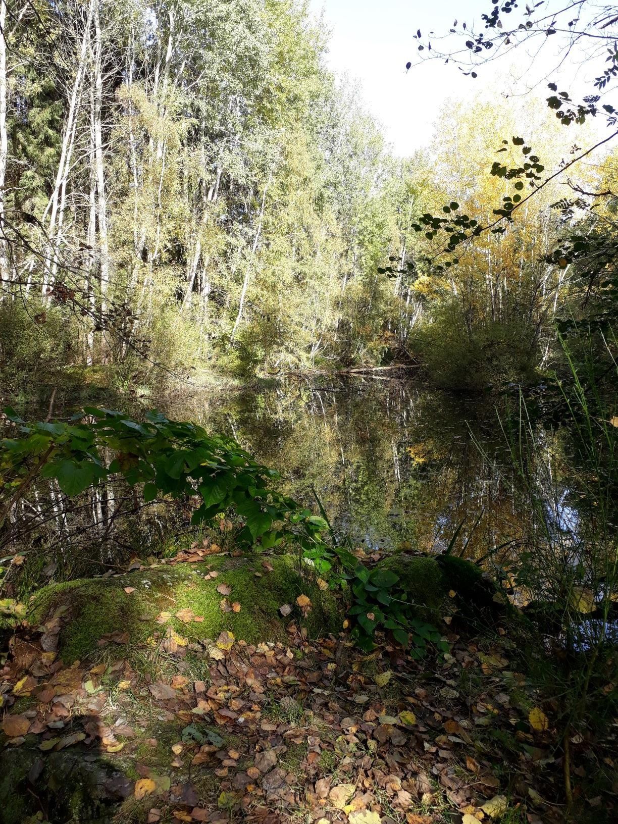 Water-meadow-forest hiking trail (Tut-gut-'Route 3)