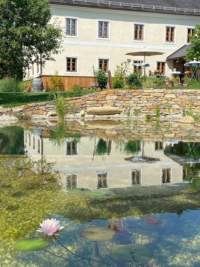 A garden pond with water lilies and the reflection of a house in the water.