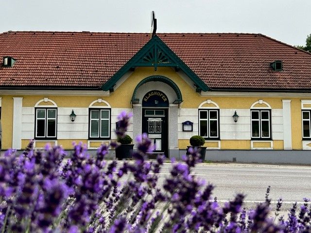 A yellow building with a red roof and green decorations, lavender in bloom in the foreground.