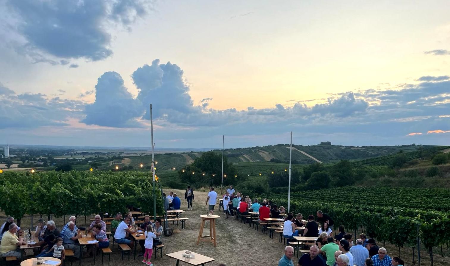 People sitting at tables in a vineyard at sunset.