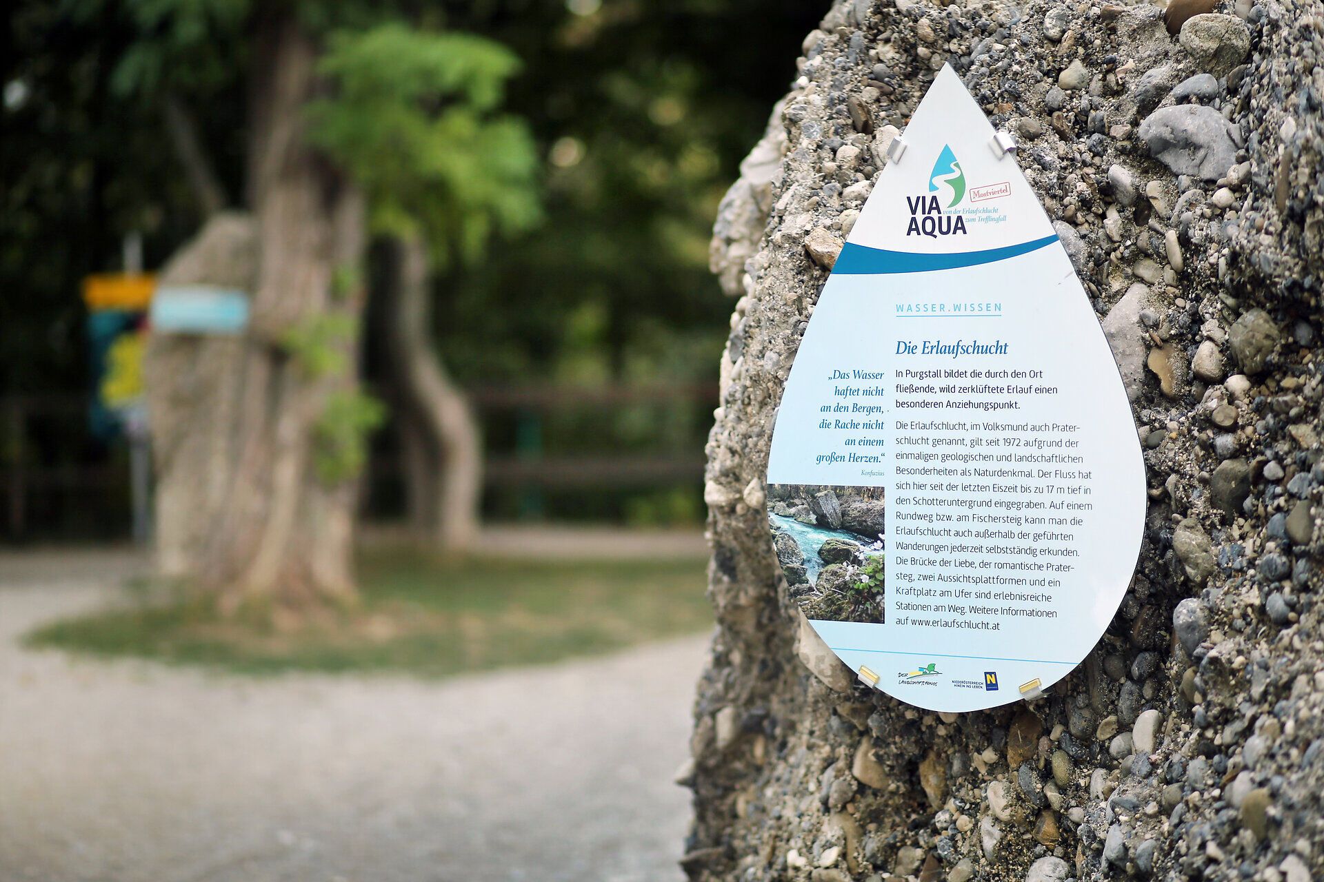 The gentle breeze carries the scent of fresh water and flowering plants through the air. Hikers can enjoy the tranquillity of nature here and be inspired by the beauty of the surroundings. This information board invites you to find out more about the fascinating waterways and landscape.