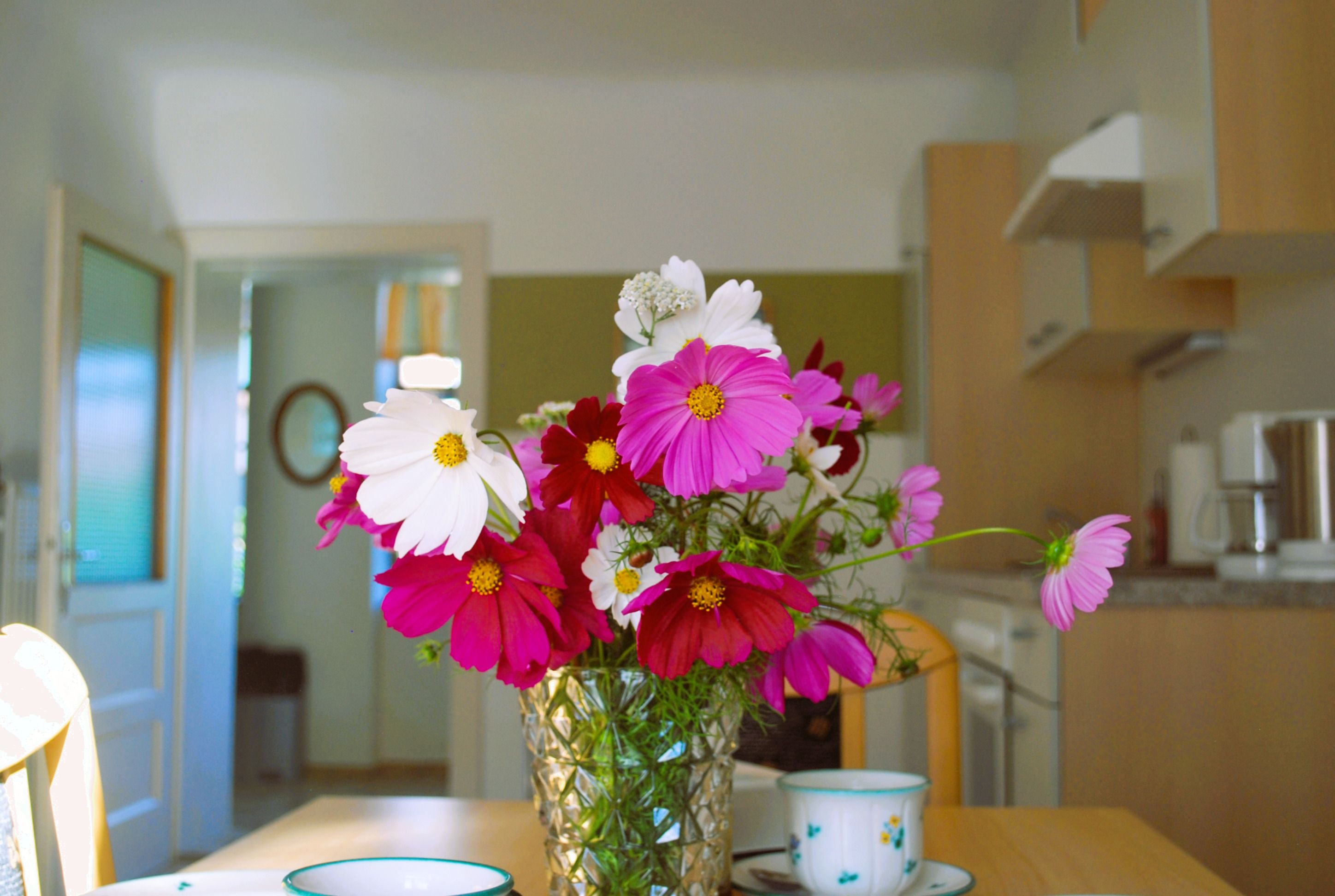 A bouquet of pink and white flowers stands in a vase on a table in a kitchen.