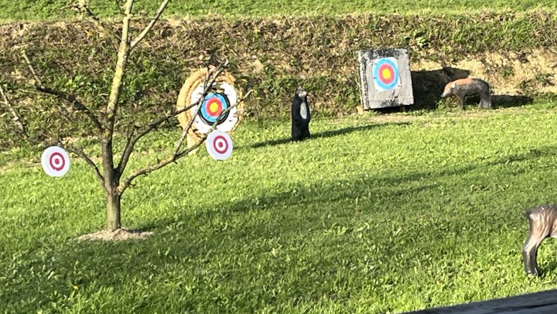 3D archery course - BSV Bärenwaldleiten, © 3D Bogenparcours – BSV Bärenwaldleiten