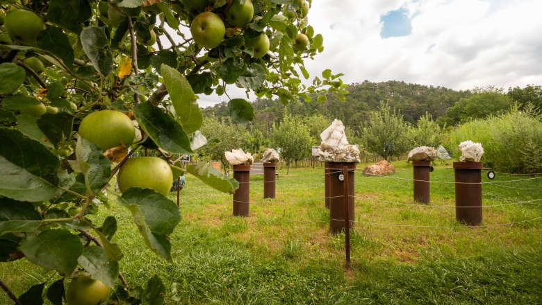 Apple tree in the foreground, sculptures on pedestals in the background, green meadow and cloudy sky.