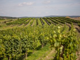 Waitzendorf, &copy; Astrid Bartl