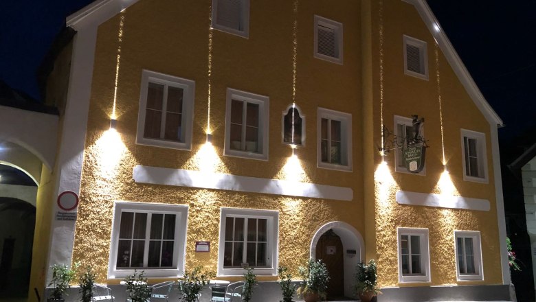 the black bear at night, &copy; Zehetner & Stressler OG